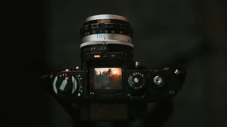 nikon d610 manual